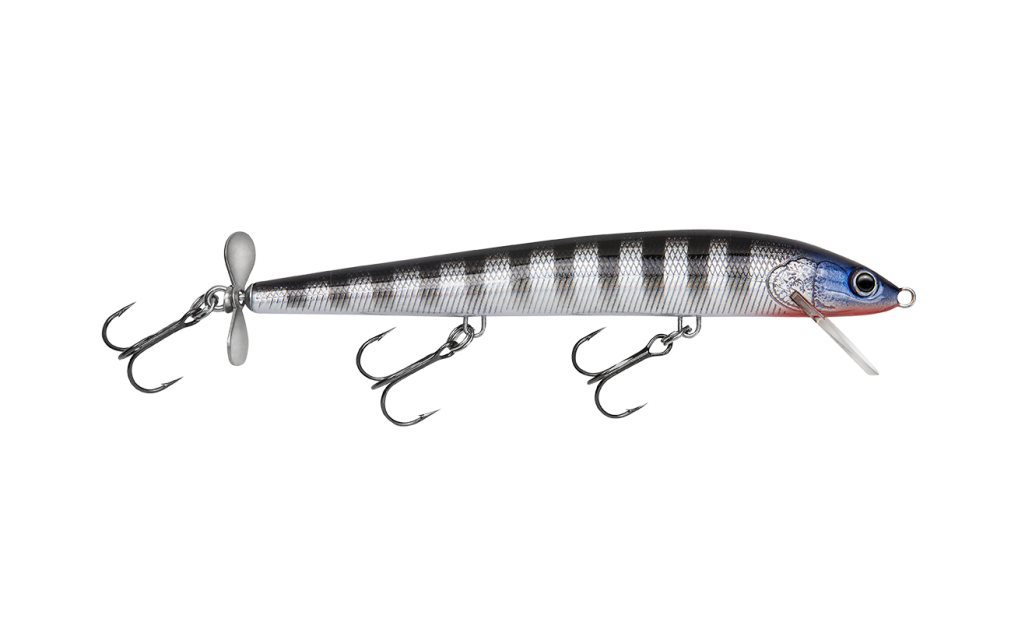 Bagley Baits BangOLure 5 - Black on Silver Foil : Fishing Topwater Lures  And Crankbaits : Sports & Outdoors 